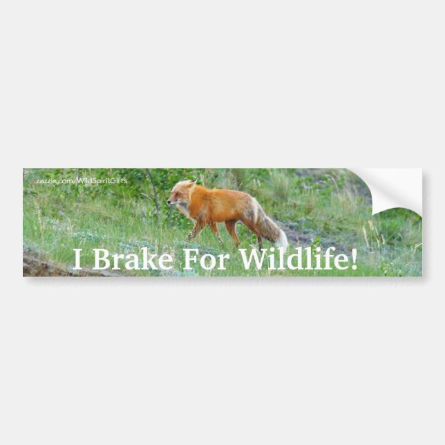 Fox Wildlife Protection-Autoaufkleber Autoaufkleber (Vorne)