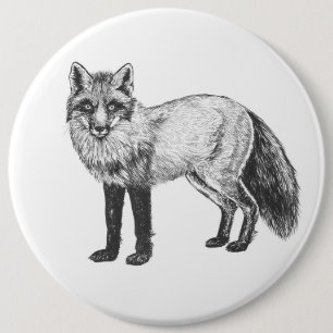 Fox zeichnend button