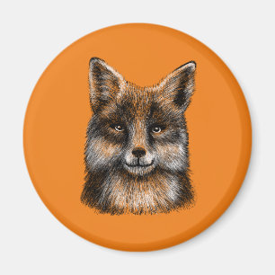 Fox zeichnend magnet