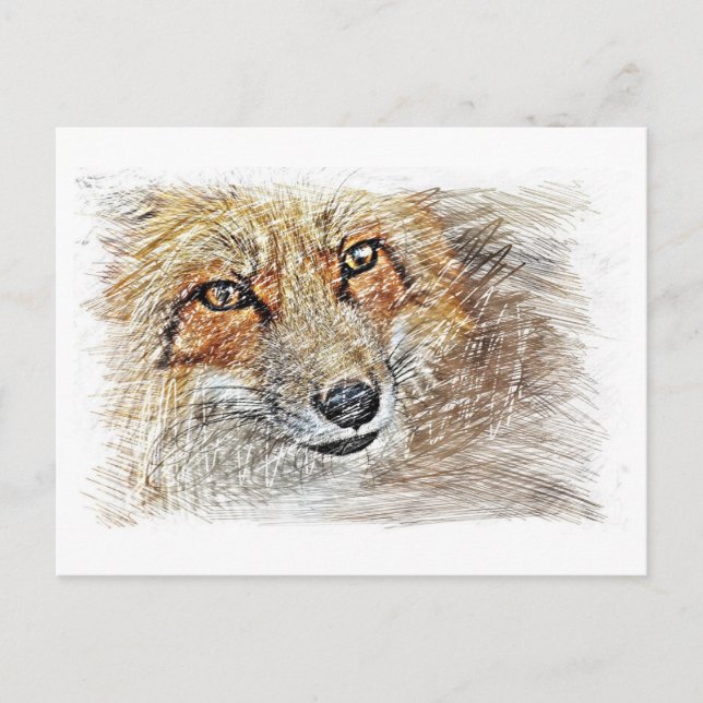 Fox Zeichnend Postkarte (Vorderseite)