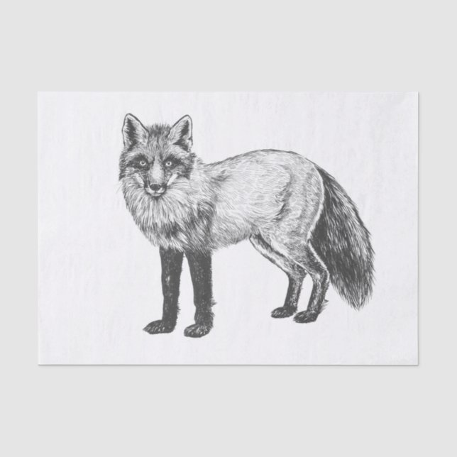 Fox zeichnend seidenpapier (Vorderseite)