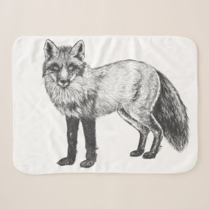 Fox zeichnend sherpadecke