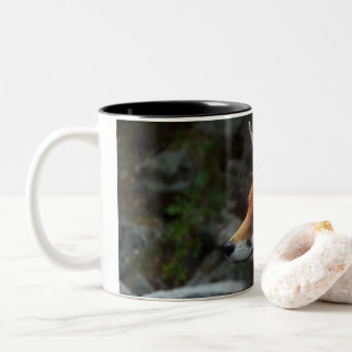 Fox Zweifarbige Tasse