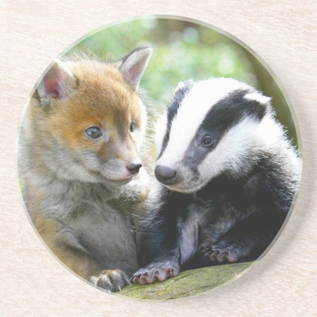 Foxcub & Badger Niedlich! Untersetzer (Vorne)