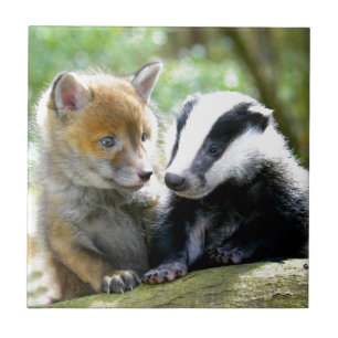 Foxcub u. Dachs niedlich! Fliese
