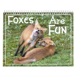 Foxes Are Fun Calendar Kalender