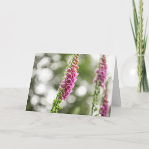 Foxglove Blossom Nature Photo Karte