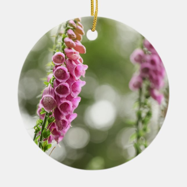 Foxglove Blossom Nature Photo Keramik Ornament (Vorne)