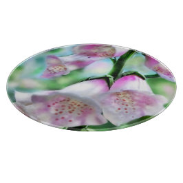 Foxglove Blume Blumengarten Lila Grüner Garten Schneidebrett