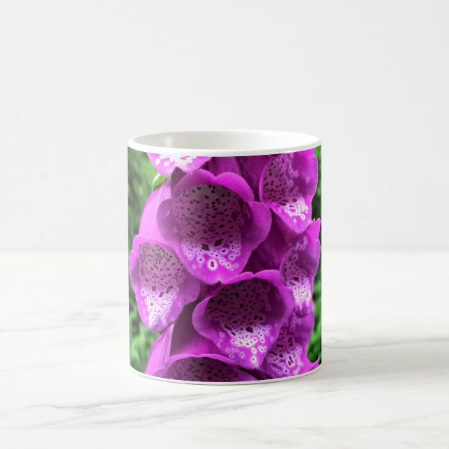 Foxglove Blume, Oregon Kaffeetasse (Mittel)
