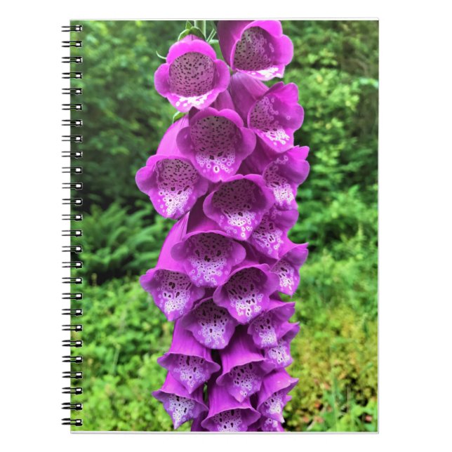 Foxglove Blume, Oregon Notizblock (Vorderseite)