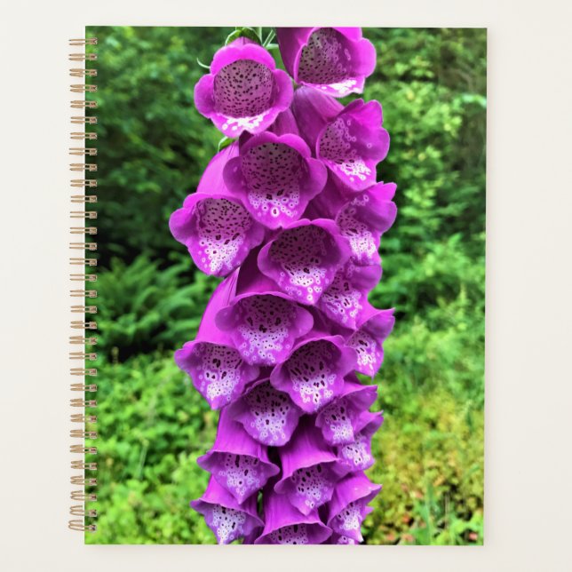 Foxglove Blume, Oregon Planer (Vorderseite)