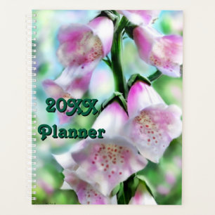 Foxglove Flower Rose violet vert Jardin blanc