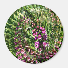Foxglove Liebe...... Magnet