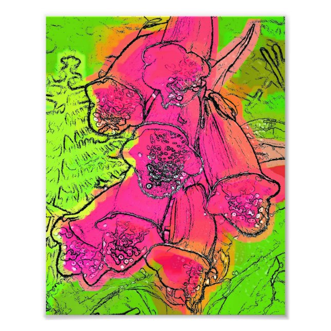 FOXGLOVES FOTODRUCK (Vorne)