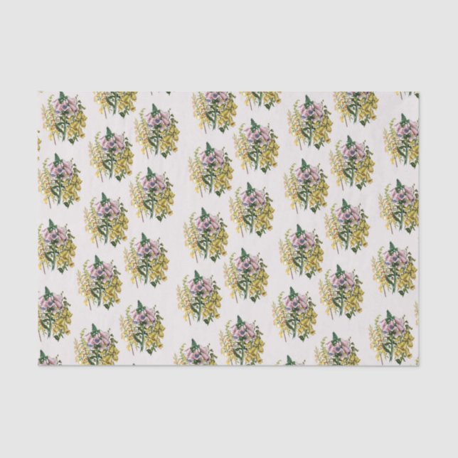 Foxhandschuhe Seidenpapier (Vorderseite)