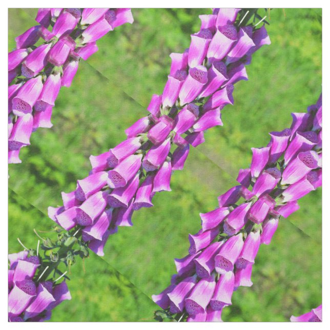 Foxhandschuhe Stoff (Muster)