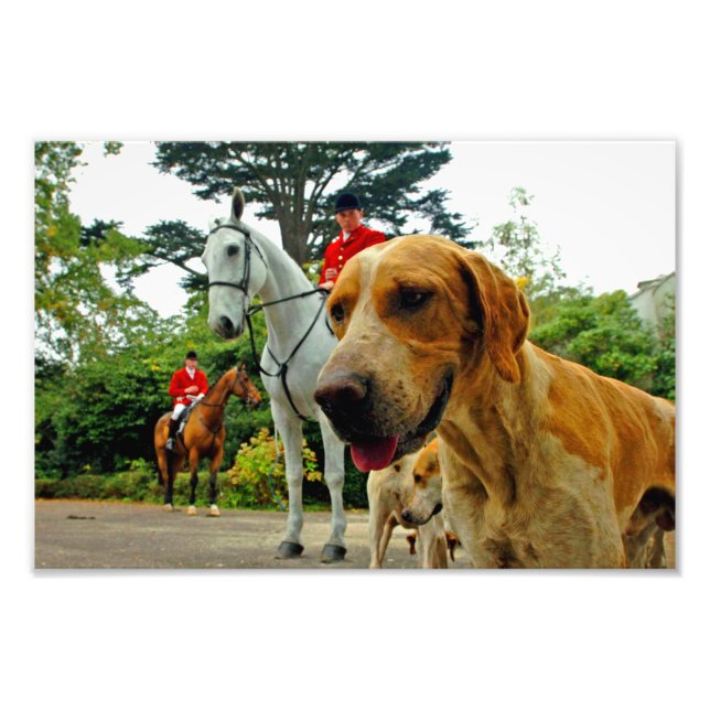 Foxhound Hunde Pferde West Berkshire Hunt England Fotodruck (Vorne)