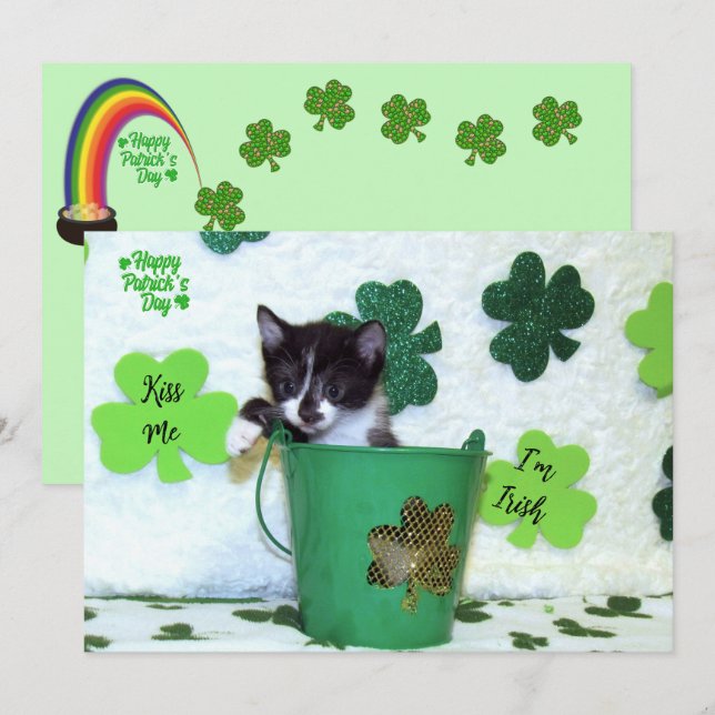 Foxi Moxi's Cat / Kitten St. Patrick's Day (Vorne/Hinten)