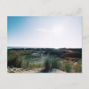 Foxton Beach Dunes Postkarte
