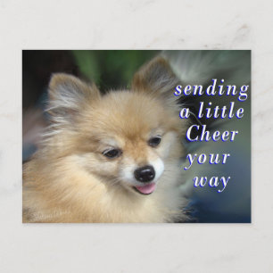 Foxy Cheery Postcard - Fügen Sie Ihre Worte hinzu Postkarte
