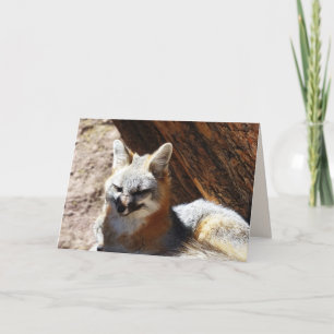 Foxy, leere Grußkarte Karte