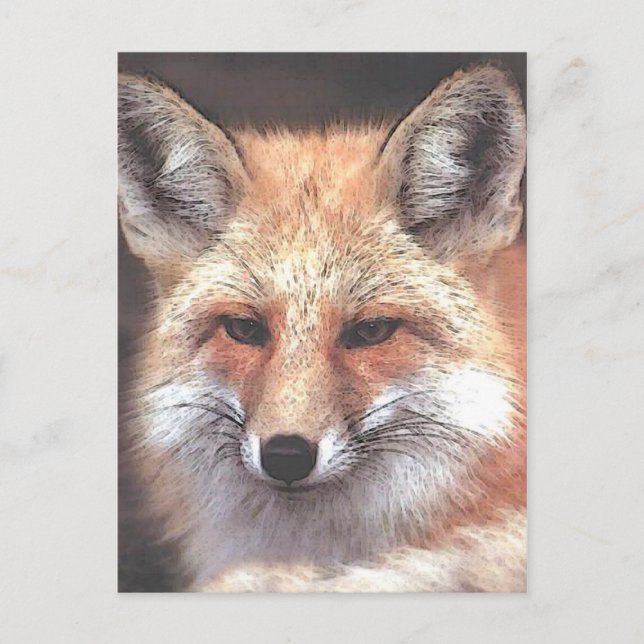 foxy postkarte (Vorderseite)