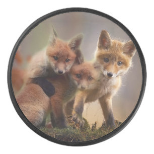 Foxy-Triplets Eishockey Puck