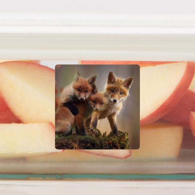 Foxy-Triplets Etiketten (Befestigt)