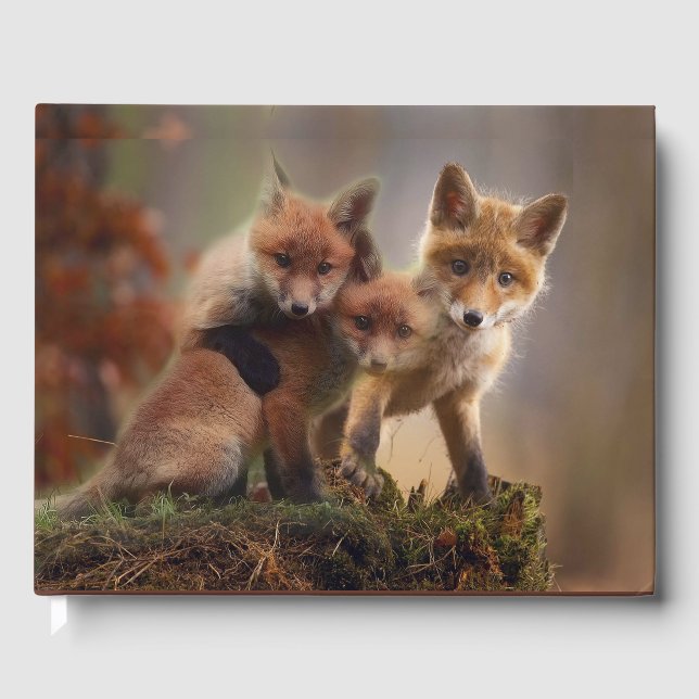 Foxy-Triplets Gästebuch (Vorderseite)