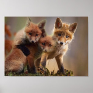 Foxy-Triplets Poster