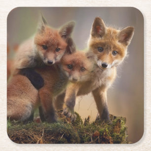 Foxy-Triplets Rechteckiger Pappuntersetzer