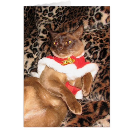 FPG Weihnachtsbirmane 2 - Karte