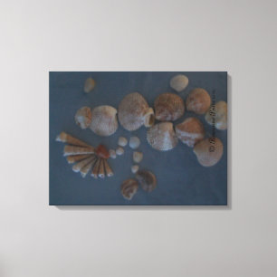 FPM DECOR Leinwand - SeaShell Lady ©️ 2012