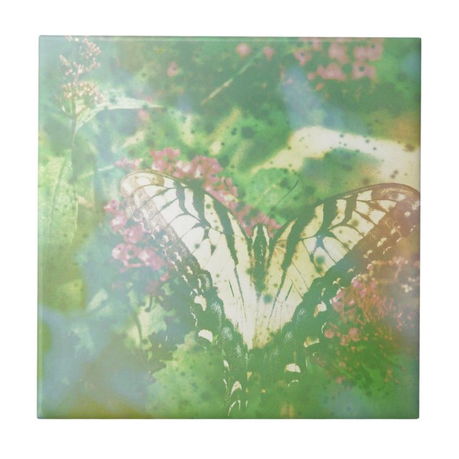 Frack abgelaufener Film Fliese (Vorderseite)