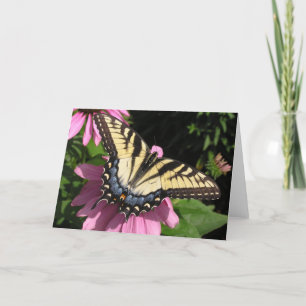 Frack auf Echinacea Karte