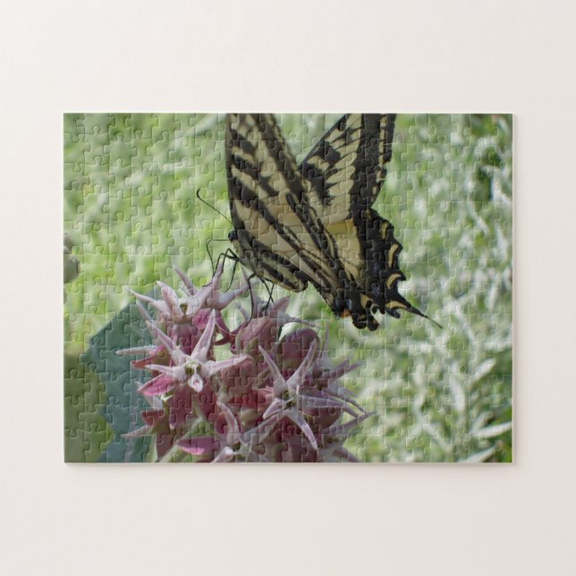 Frack auf Milkweed (Horizontal)