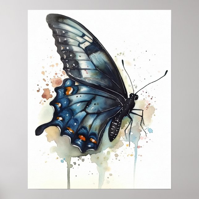 Frack Butterfly Art Print Poster (Vorne)