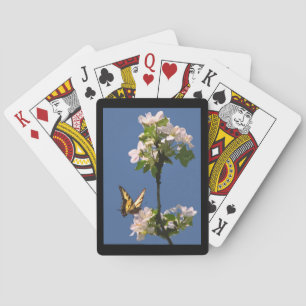 Frack Butterfly auf Blume Spielkarten