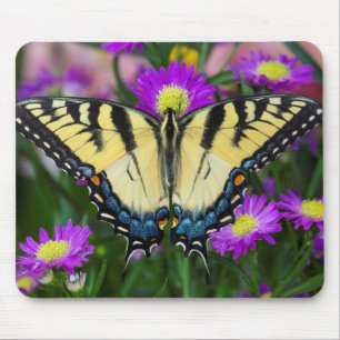 Frack Butterfly auf dem Fleck Mousepad