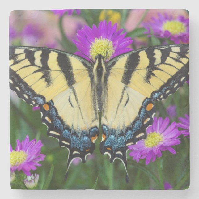 Frack Butterfly auf dem Fleck Steinuntersetzer (Vorderseite)