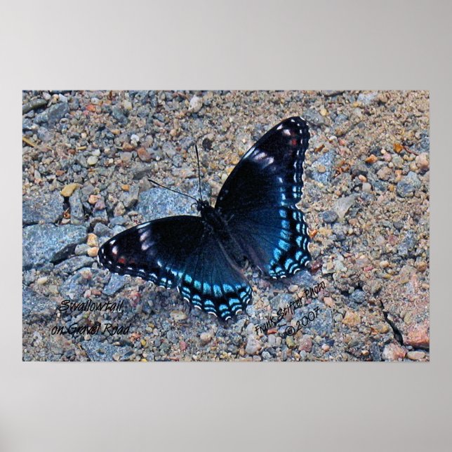 Frack Butterfly auf der Kies Road Poster (Vorne)