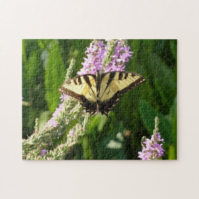 Frack Butterfly auf Lila Wildblumen (Horizontal)