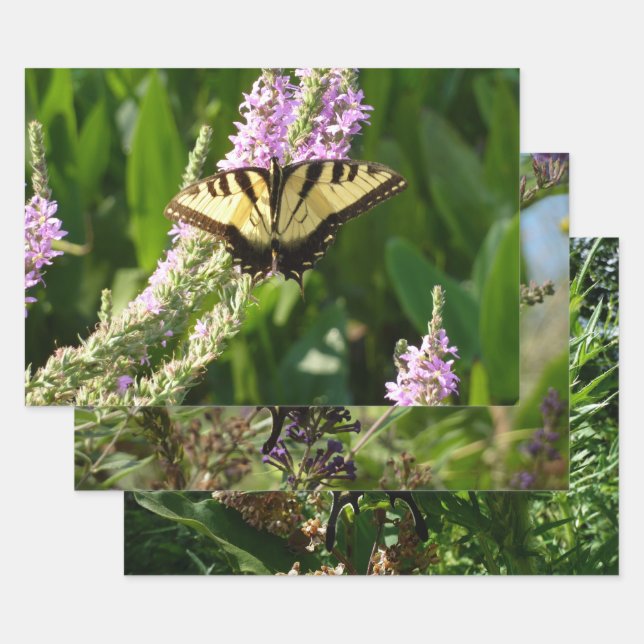 Frack Butterfly auf Lila Wildblumen Geschenkpapier Set (Set)