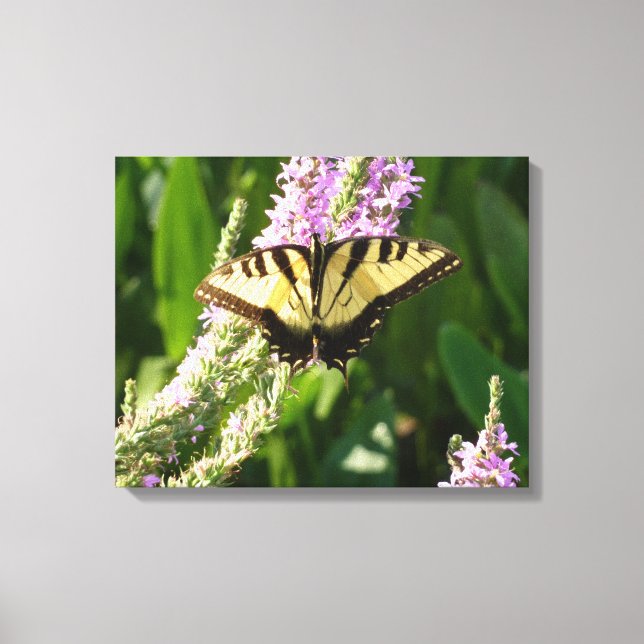 Frack Butterfly auf Lila Wildblumen Leinwanddruck (Vorderseite)