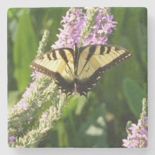 Frack Butterfly auf Lila Wildblumen Steinuntersetzer