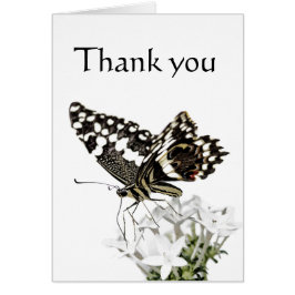 Frack Butterfly Bleich weiß