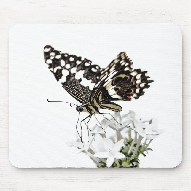 Frack Butterfly Bleich weiß Mousepad (Vorne)