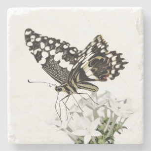 Frack Butterfly Bleich weiß Steinuntersetzer