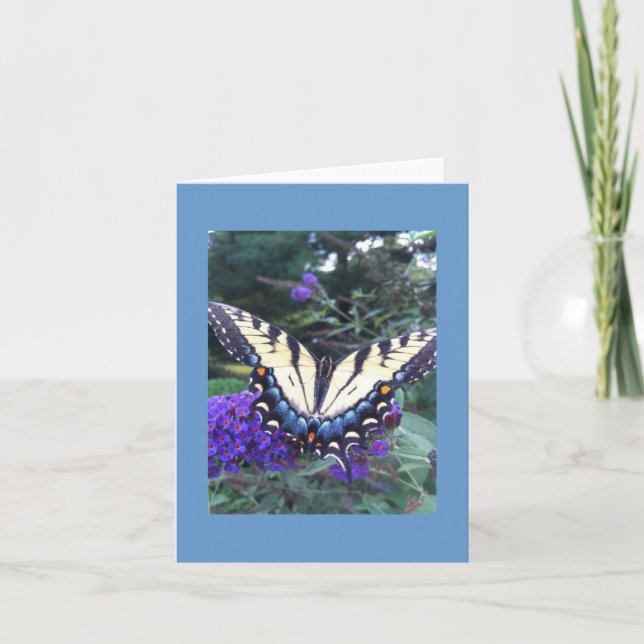 Frack Butterfly Card 2 Karte (Vorderseite)